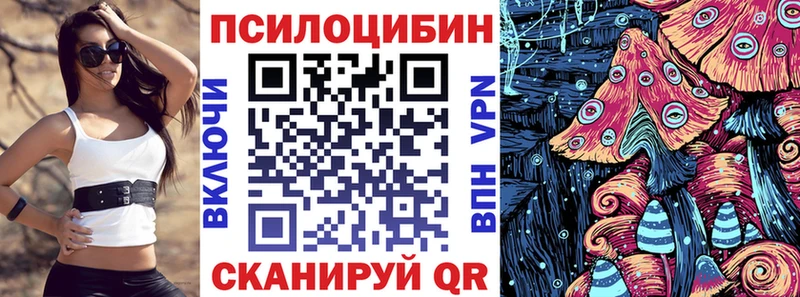 Галлюциногенные грибы Psilocybine cubensis  как найти закладки  Губкинский 